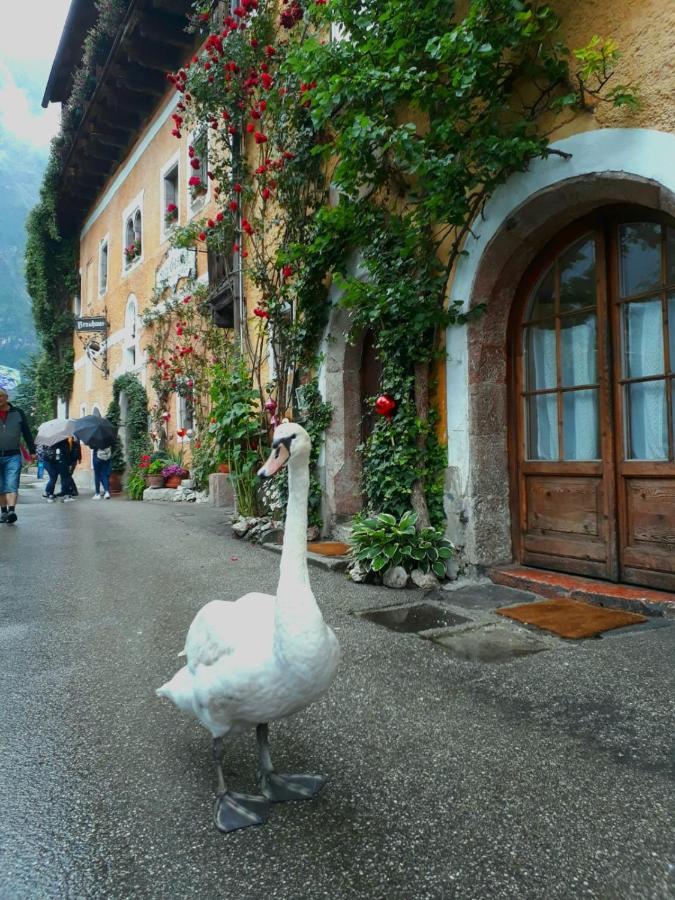 Braeugasthof Hallstatt Eksteriør bilde